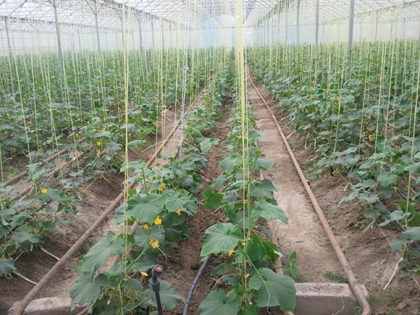 Трубопровод